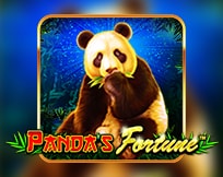 Panda`s Fortune